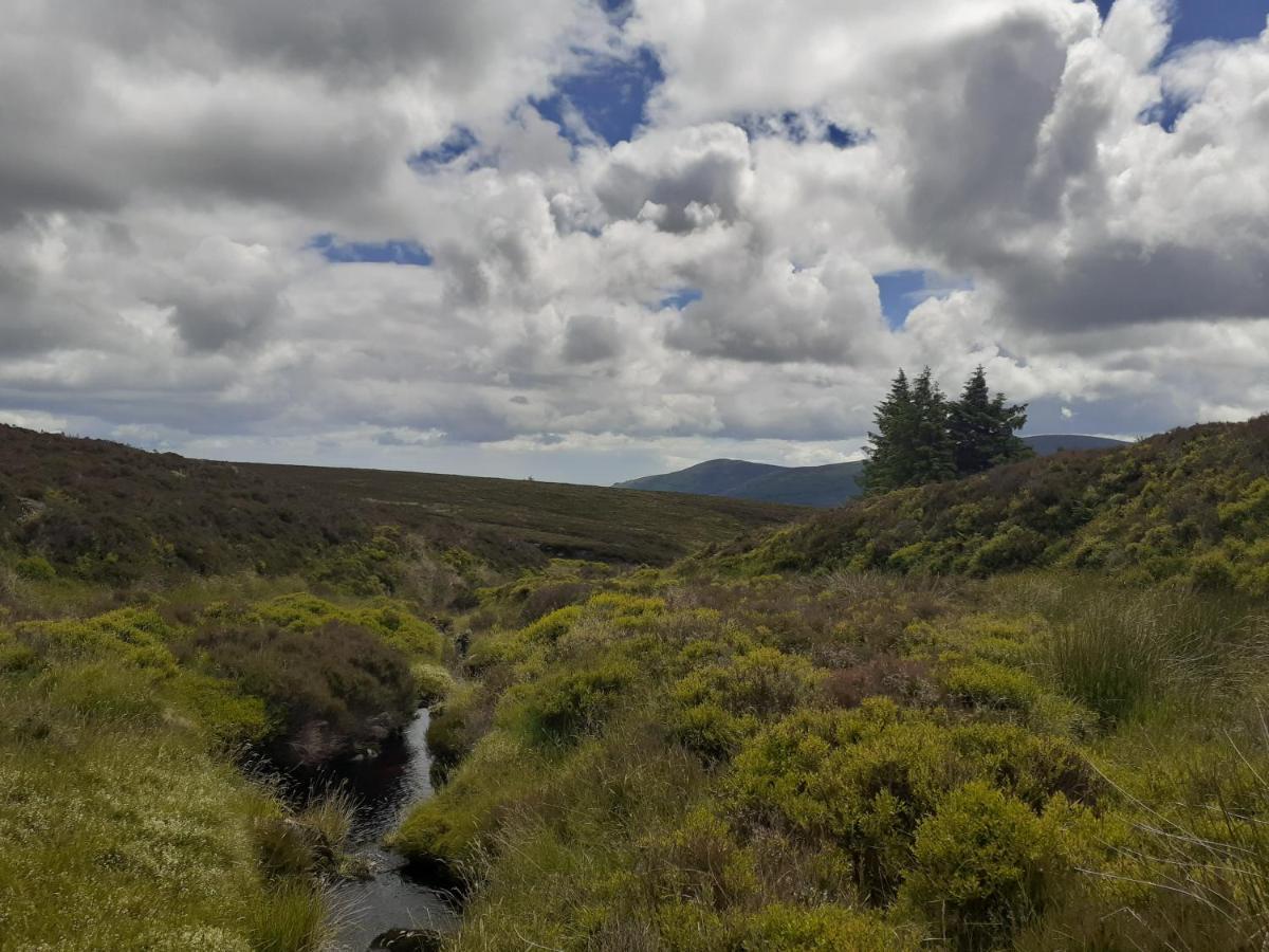 Ensuite At The Foot Of Dublin Mountains Εξωτερικό φωτογραφία